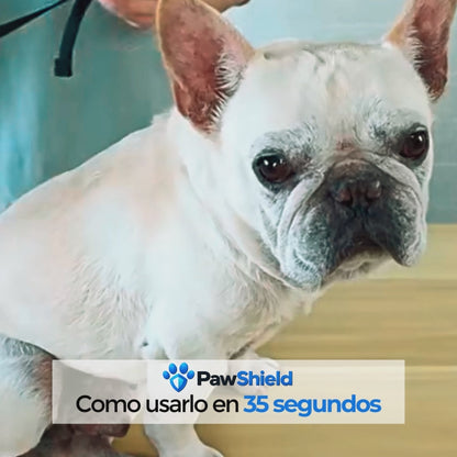 Botas impermeables para perros que no se salen